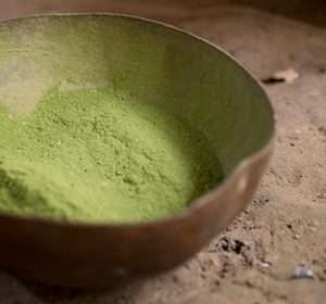 CETICO ASH / 1kg - (Cecropia Membranacea) 100% biologisch blad 7 Mambe