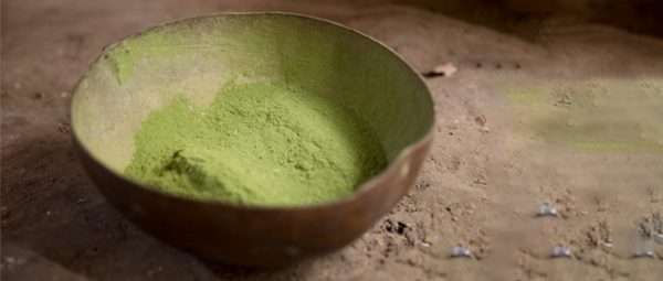 Cetico Ash / 1Kg - (Cecropia Membranacea) 100% Biologisch Blad
