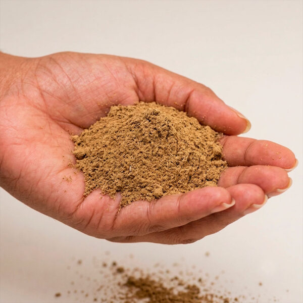 BOBINSANA POWDER / 200gr bei 1kg - (Calliandra Angustifolia) 100% reines natürliches und organisches BLATT und 2 Bobinsana Powder / 200Gr At 1Kg - (Calliandra Angustifolia) 100% Pure Natural And Organic Leaf And
