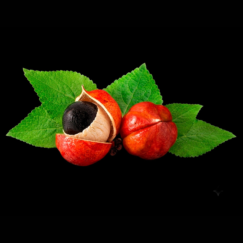 Ok Natura 188 Guarana / 50Gr À 1Kg - (Paullinia Cupana) - Poudre 100 % Naturelle