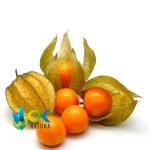 Aguaymanto - Uchuva / 50Gr À 1Kg - (Physalis Peruviana) - Poudre 100 % Naturelle