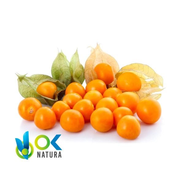 Aguaymanto - Uchuva / 50Gr À 1Kg - (Physalis Peruviana) - Poudre 100 % Naturelle