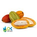 Cacao Frucht / 50Gr Bei 1Kg - (Theobroma Cacao) - Pulver 100 % Natürlich