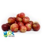 Camu Camu - Coquille + Graines / 50Gr À 1Kg - (Myrciaria Dubia) - Poudre 100 % Naturelle