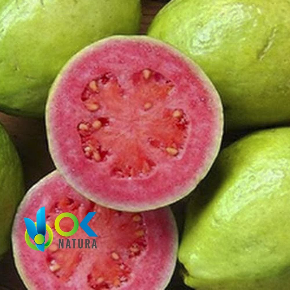 Guayaba / 50Gr At 1Kg - (Psidium Guajava) - Powder 100 % Natural