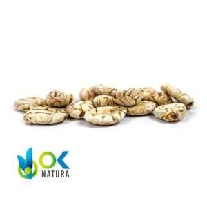 MACAMBO-SAMEN GANZ / 50 g bei 1 kg – (Theobroma Bicolor) – Samen 100 % Natürlich