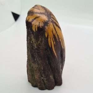 PIECE OF AYAHUASCA LIANA - Handmade from Ayahuasca Heaven polished, Original item for Ceremonies