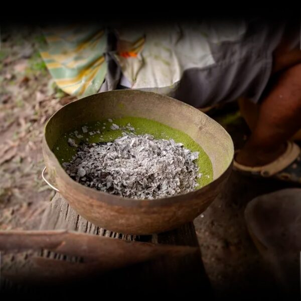 Cetico-Powdre-1.jpg Cetico Ash / 1Kg - (Cecropia Membranacea) 100% Hoja Ecológica