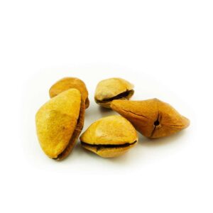 CAMALONGA SEEDS / 12 Unit | Female or Male | (Thevetia Peruviana) 100% Pure Natural