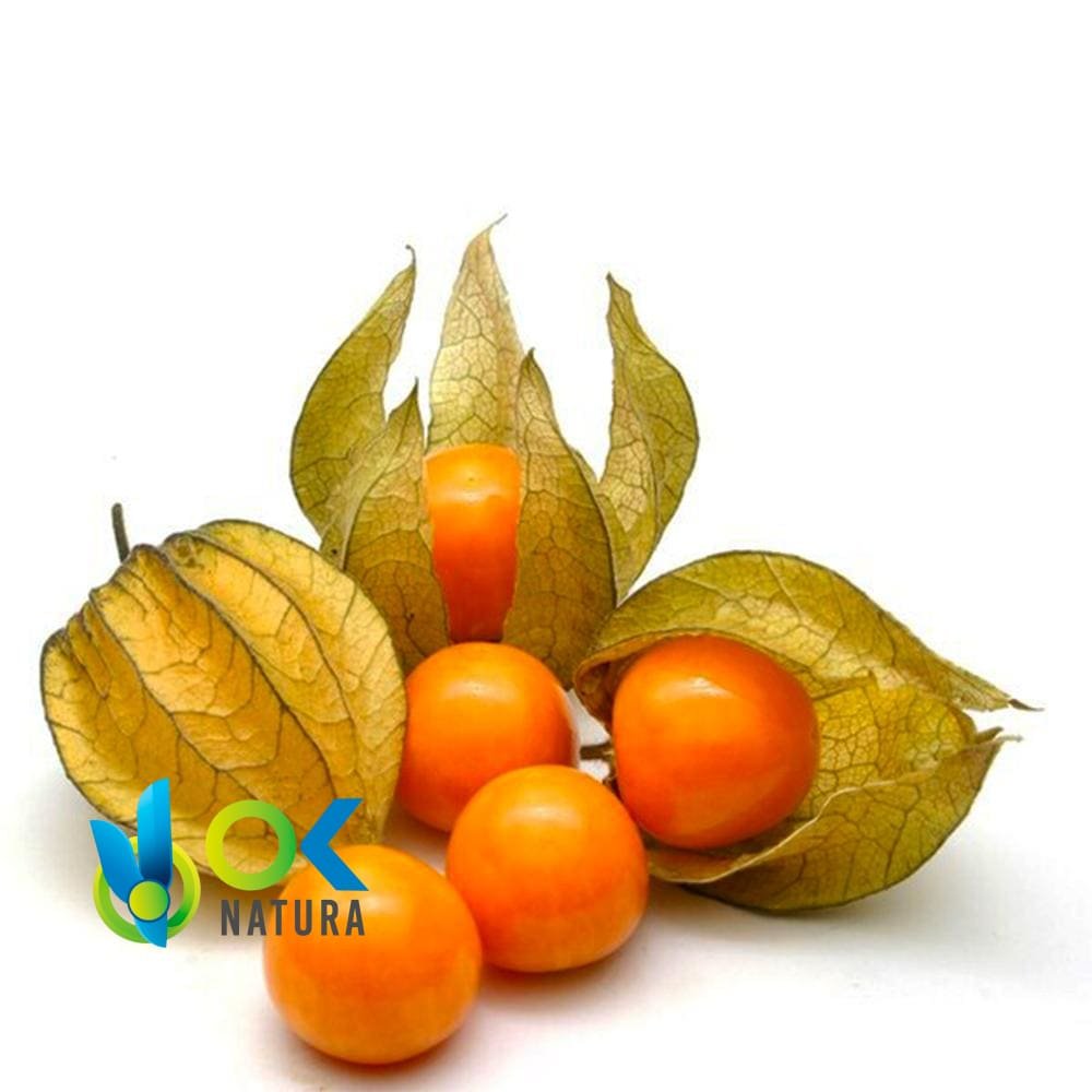 Aguaymanto - Uchuva / 50Gr Bei 1Kg - (Physalis Peruviana) - Pulver 100 % Natürlich