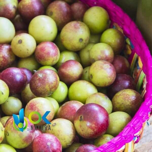 Camu Camu - Cáscara + Semillas / 50Gr A 1Kg - (Myrciaria Dubia) - Polvo 100 % Natural