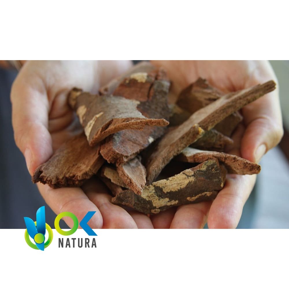 CHUCHUHUASI POWDER / 200gr at 1kg -（Maytenus Laevis）100% 纯天然有机蘑菇肉