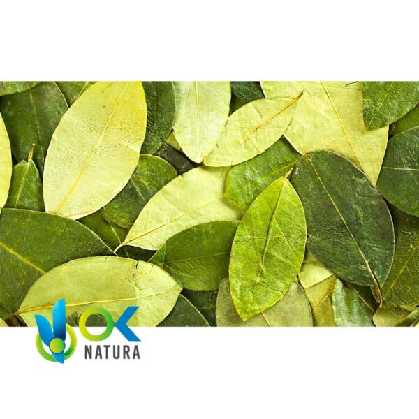 Feuilles De Coca / 30Gr À 2Kg / - (Erythroxylum Coca) Poudre - Thé Coca