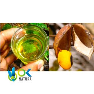 Copaiba Huile Essentielle - (Copaifera Officinali) / 100% Pure Non Diluée – Image 3