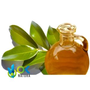 Copaiba Huile Essentielle - (Copaifera Officinali) / 100% Pure Non Diluée – Image 2