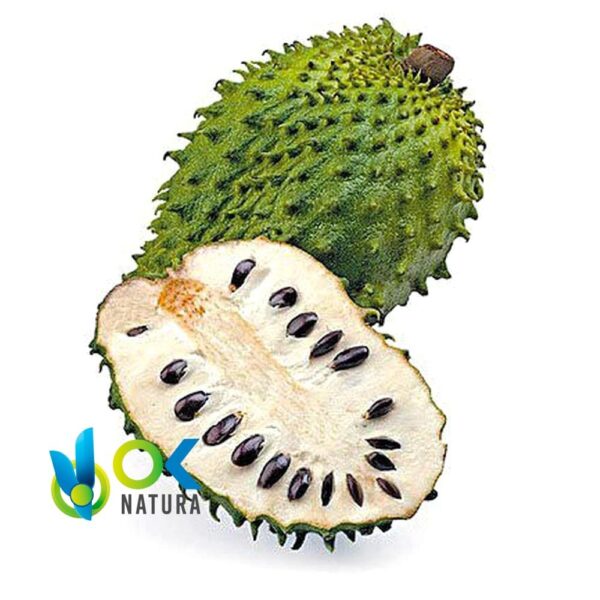 PASTA DE GUANABANA / 10gr a 1kg / - (Annona Muricata) 100% Puro Extrato em Pasta 1 Pasta De Guanabana / 10Gr A 1Kg / - (Annona Muricata) 100% Puro Extrato Em Pasta