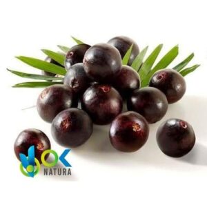 HUASAI - Acai / 50gr at 1kg - (Euterpe Oleracea) - Powder 100 % natural