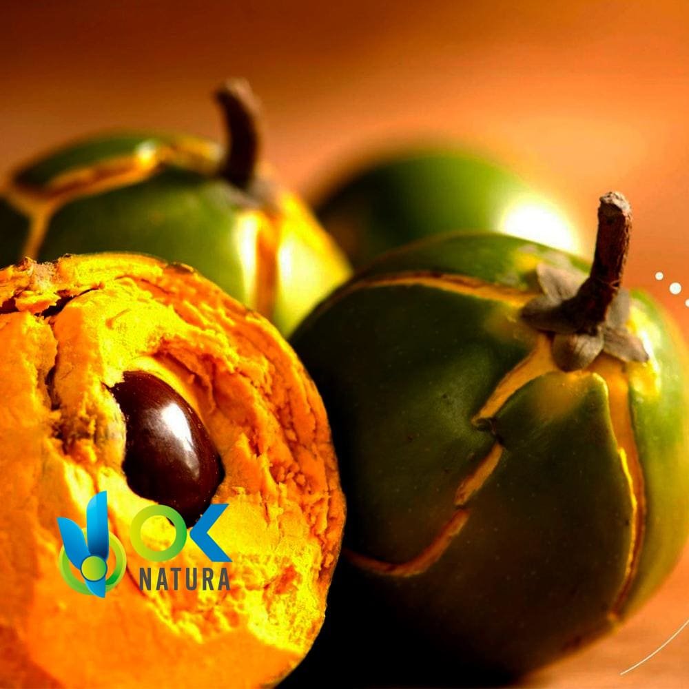 LÚCUMA / 50gr a 1kg - (Pouteria Lucuma) - Polvere 100% naturale