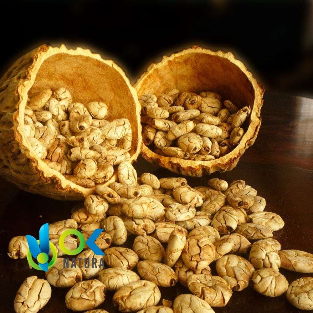 Macambo Seeds Whole / 50Gr At 1Kg - (Theobroma Bicolor) - Samen 100 % Natürlich