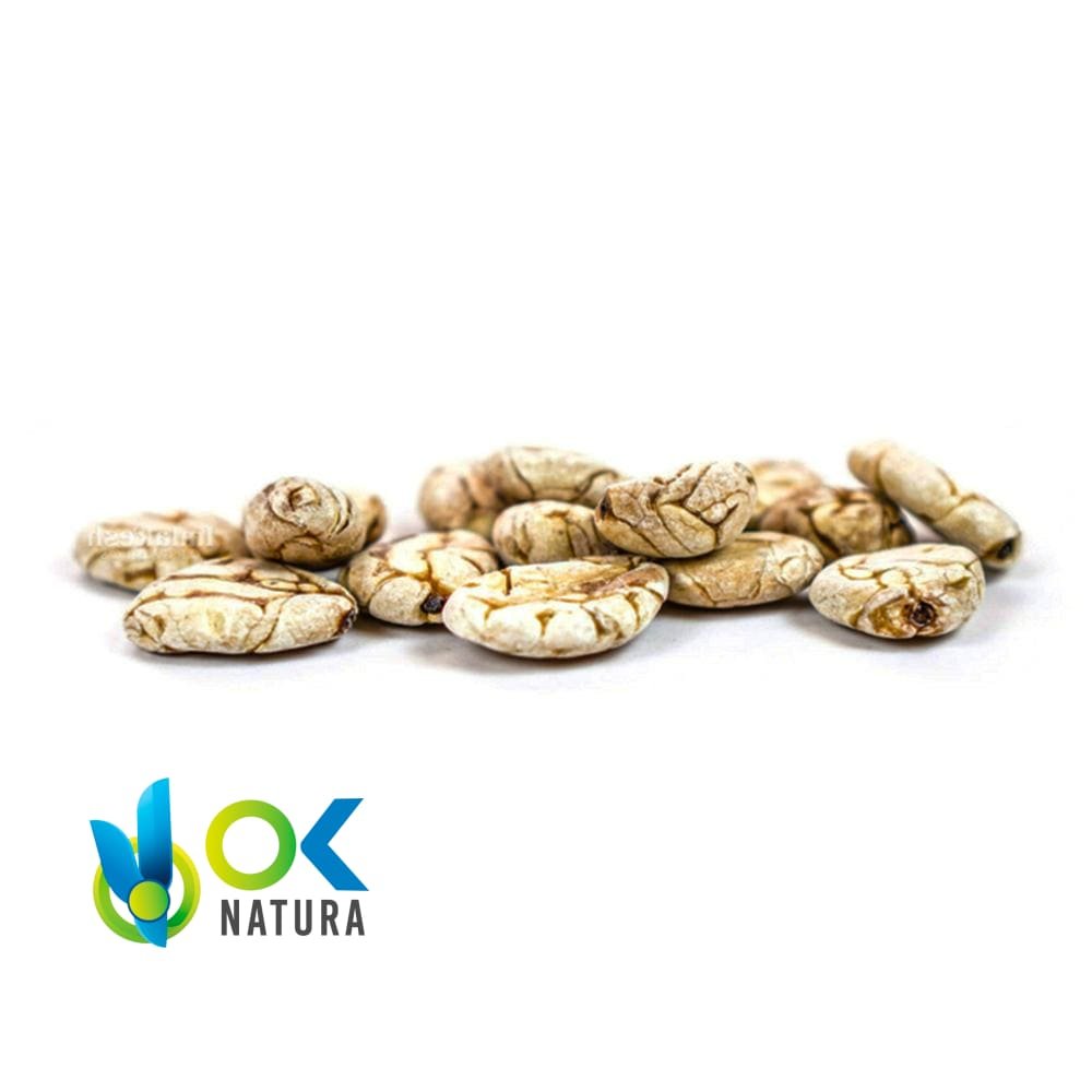 Macambo / 50Gr A 1Kg - (Theobroma Bicolor) - Polvo 100 % Natural
