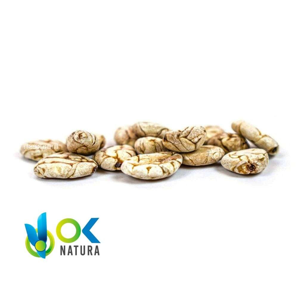 Macambo Seeds Whole / 50Gr At 1Kg - (Theobroma Bicolor) - Seeds 100 % Natural