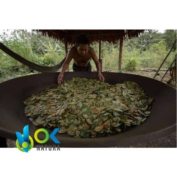 Mambe / 30Gr A 2Kg / - Hoja De Coca + Ceniza De Cetico