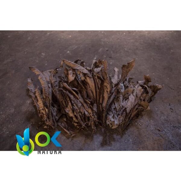 Mambe / 30Gr A 2Kg / - Hoja De Coca + Ceniza De Cetico