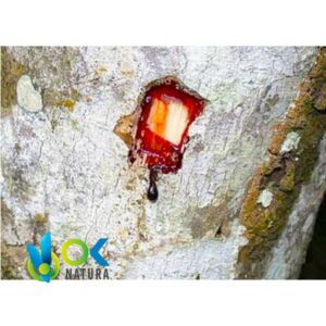 Sangre De Grado Ätherisches Öl - (Croton Lechleri) / 100% Rein Und Unverdünnt – Bild 3
