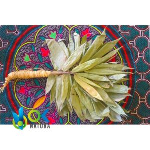 SHAKAPA ou CHAKAPA - Instrument cérémoniel traditionnel de purification de l'Ayahuasca par les chamans