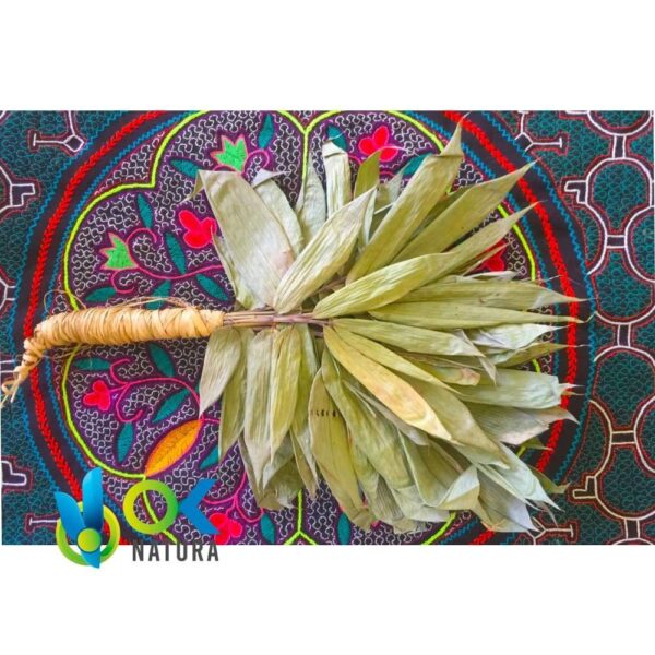 SHAKAPA ou CHAKAPA - Instrumento tradicional de limpeza xamã para a ayahuasca 1 Shakapa Ou Chakapa - Instrumento Tradicional De Limpeza Xamã Para A Ayahuasca