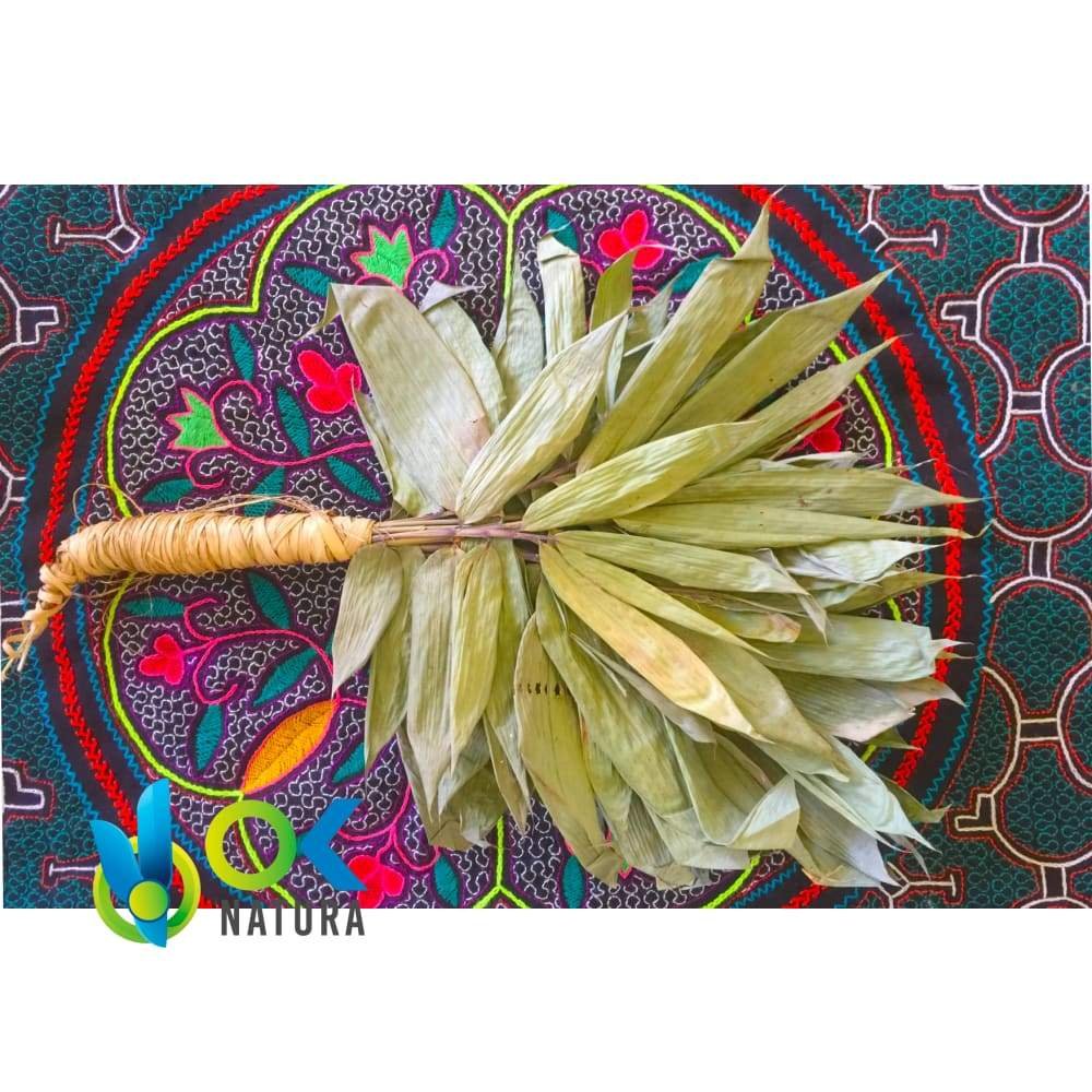 Shakapa Oder Chakapa - Traditionelles Schamanen-Reinigungsinstrument Für Ayahuasca-Zeremonien