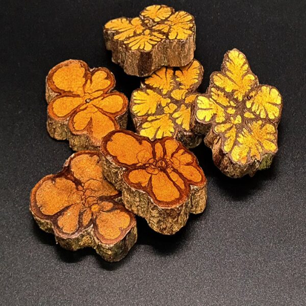 products-trososdeayahuasca1.jpg Unique Slides Of Ayahuasca - (Banisteriopsis Caapi) - Handmade Original