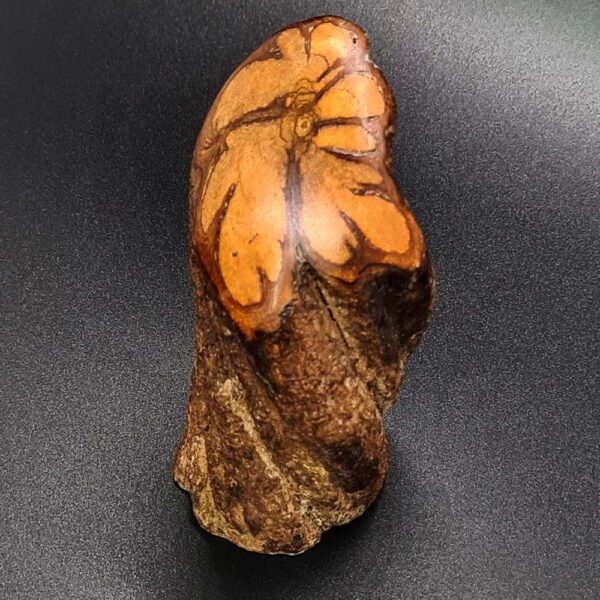 PIECE OF AYAHUASCA LIANA - Handgemaakt van Ayahuasca Heaven gepolijst, Origineel item voor ceremonies 2 Piece Of Ayahuasca Liana - Handgemaakt Van Ayahuasca Heaven Gepolijst, Origineel Item Voor Ceremonies