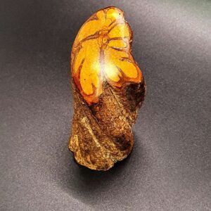 PIECE OF AYAHUASCA LIANA - Handmade from Ayahuasca Heaven polished, Original item for Ceremonies
