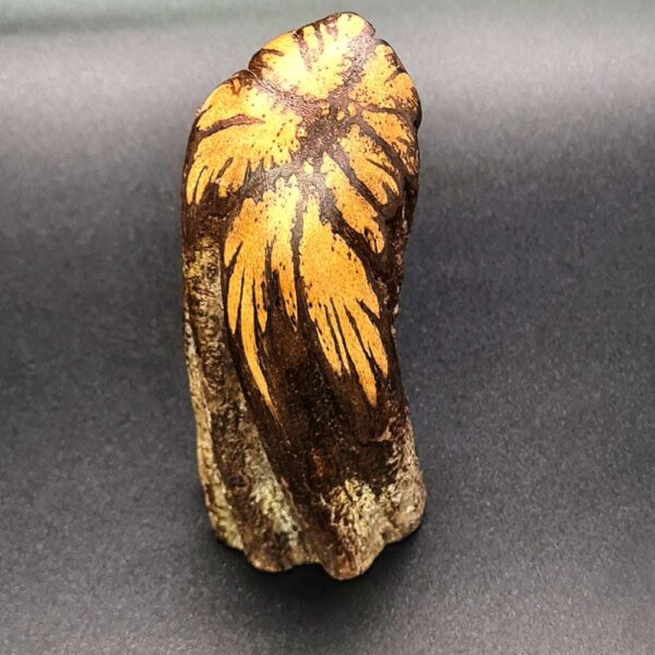 PIECE OF AYAHUASCA LIANA - Handgemaakt van Ayahuasca Heaven gepolijst, Origineel item voor ceremonies 3 Piece Of Ayahuasca Liana - Handgemaakt Van Ayahuasca Heaven Gepolijst, Origineel Item Voor Ceremonies