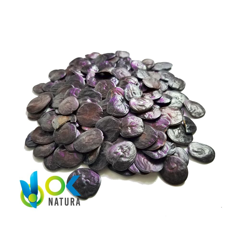 Yopo - Graines De Vilca / 200Gr À 1Kg - (Anadenanthera Peregrina) 100% Pure Naturelle Et Biologique