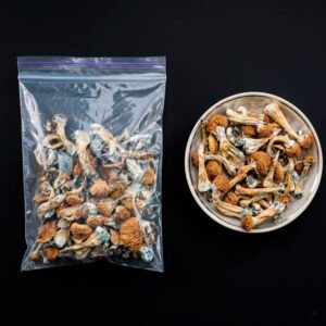 PSILOCYBIN MUSHROOM / 1gr at 5gr - (Psilocybe cubensis) 100% Pure DMT Original 7 Psilocybin Mushroom / 1Gr At 5Gr - (Psilocybe Cubensis) 100% Pure Dmt Original - Imagen 4