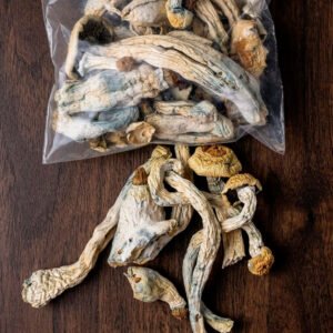 PSILOCYBIN MUSHROOM / 1gr at 5gr - (Psilocybe cubensis) 100% Pure DMT Original 4 Psilocybin Mushroom
