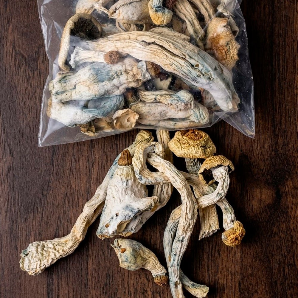 Psilocybin Mushroom /  1Gr At 5Gr - (Psilocybe Cubensis) 100% Pure Dmt Original
